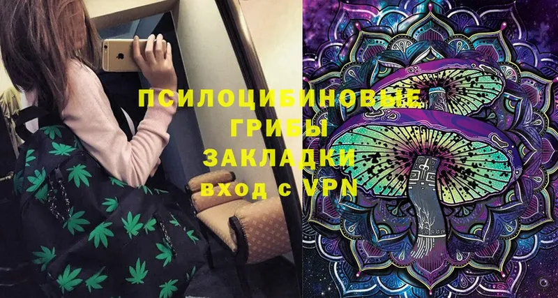 Псилоцибиновые грибы Cubensis  где найти   Анжеро-Судженск 